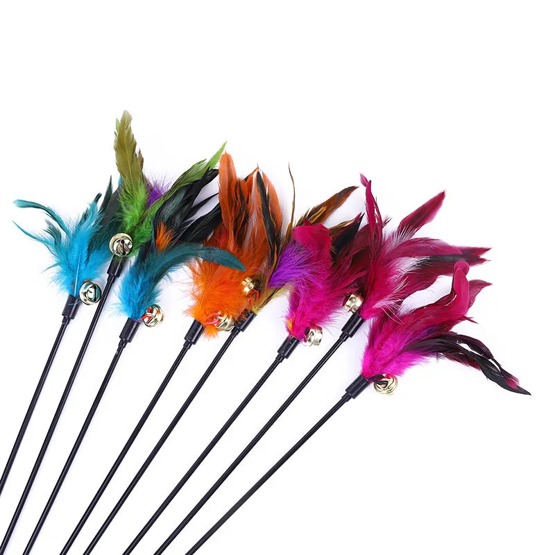 5 Cat Teaser Wand Set – Interactive Feather Toys with Bells-My Little Pet