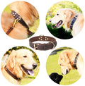 Benepaw Premium Leather Dog Collar for Medium and Large Dogs-My Little Pet