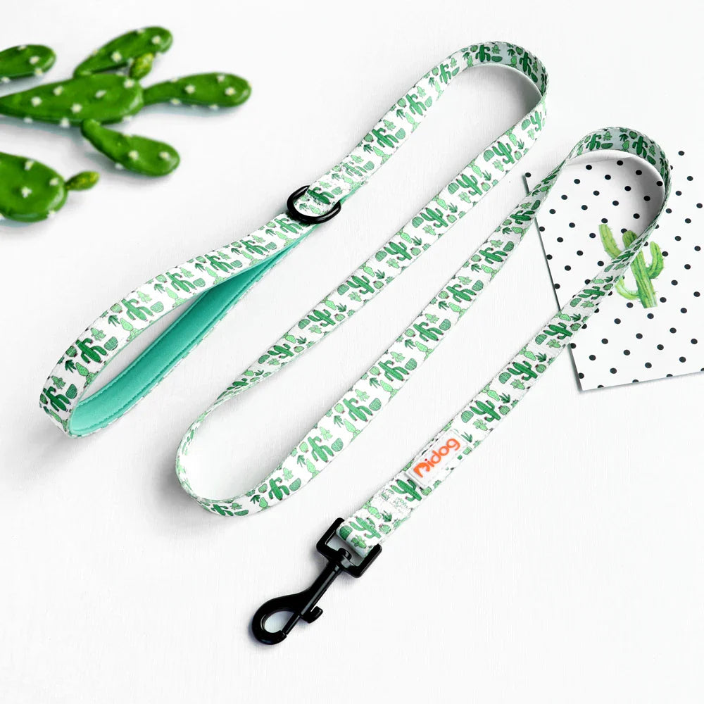 Didog High-Quality Nylon Dog Leash for All Sizes and Seasons-My Little Pet