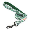 Didog High-Quality Nylon Dog Leash for All Sizes and Seasons-My Little Pet