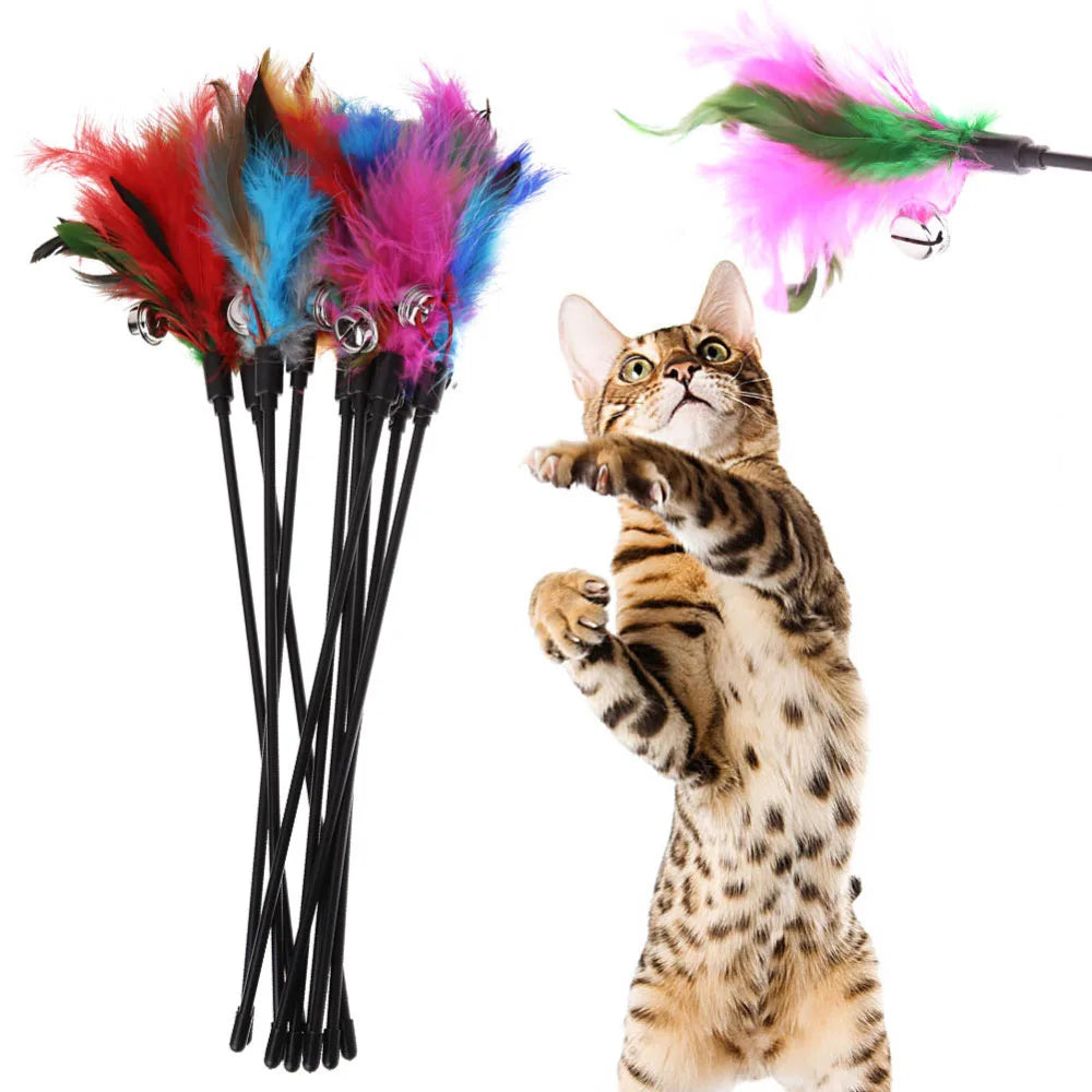 5 Cat Teaser Wand Set – Interactive Feather Toys with Bells-My Little Pet