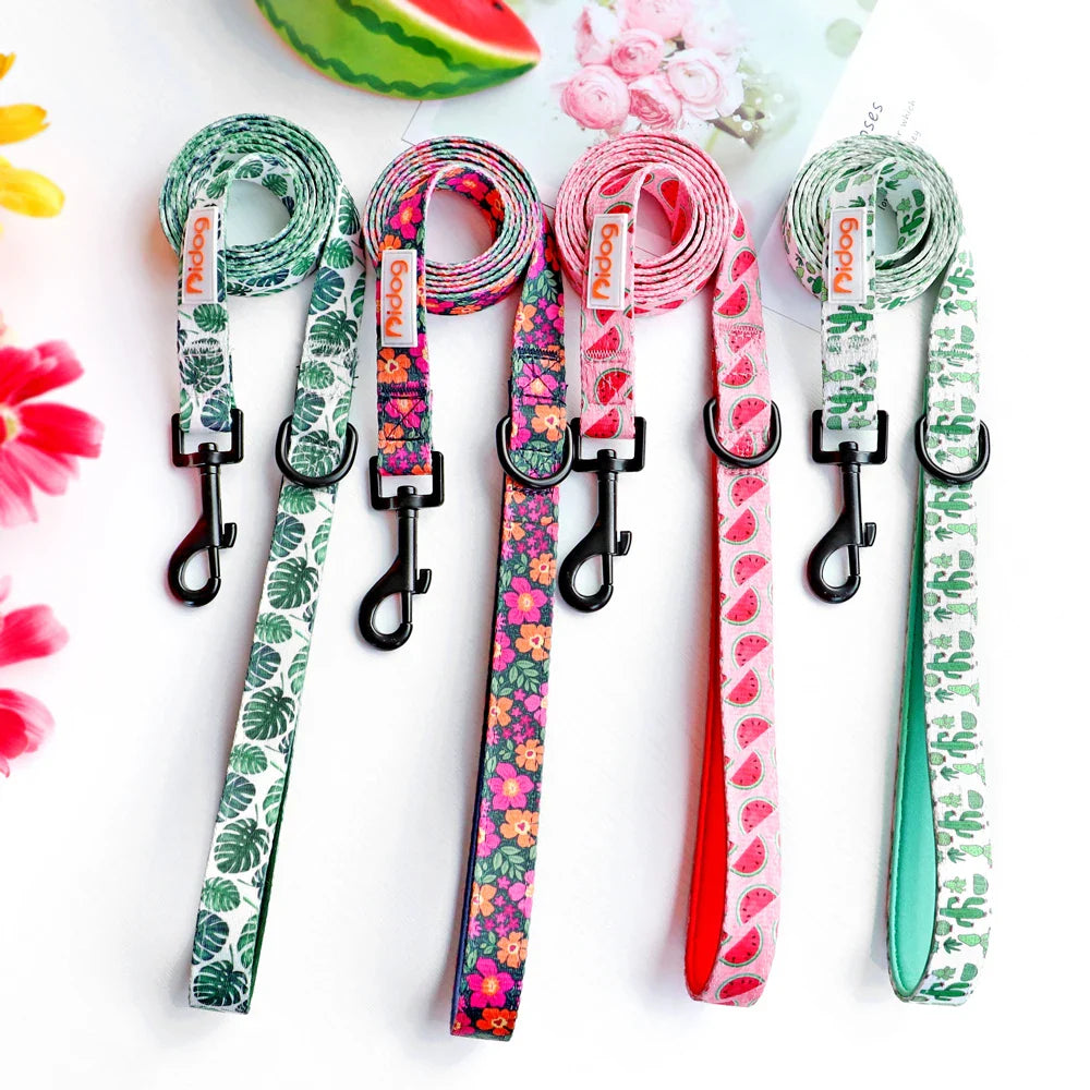 Didog High-Quality Nylon Dog Leash for All Sizes and Seasons-My Little Pet