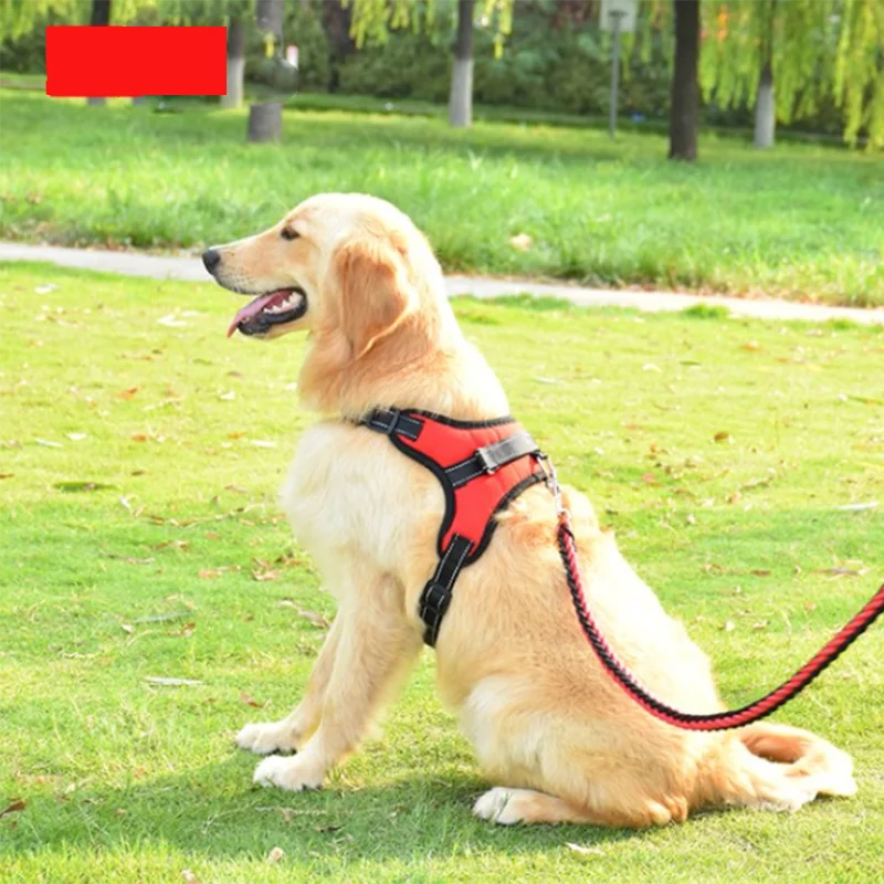 Adjustable Pet Dog & Cat Harness with Leash – Reflective & Breathable Harness Vest - My Little Pet
