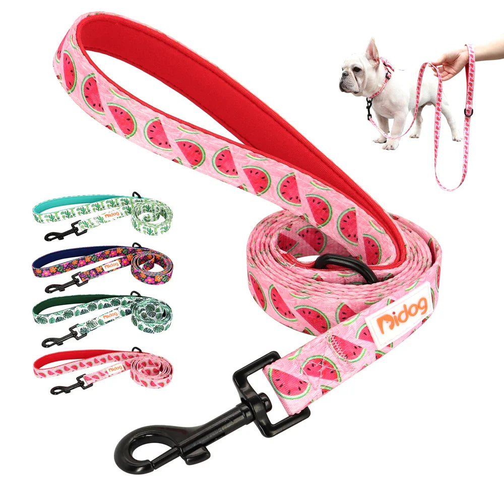 Didog High-Quality Nylon Dog Leash for All Sizes and Seasons-My Little Pet