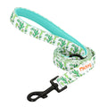Didog High-Quality Nylon Dog Leash for All Sizes and Seasons-My Little Pet