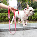 Didog High-Quality Nylon Dog Leash for All Sizes and Seasons-My Little Pet