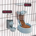 Multi-Purpose Automatic Pet Feeder and Water Dispenser-My Little Pet