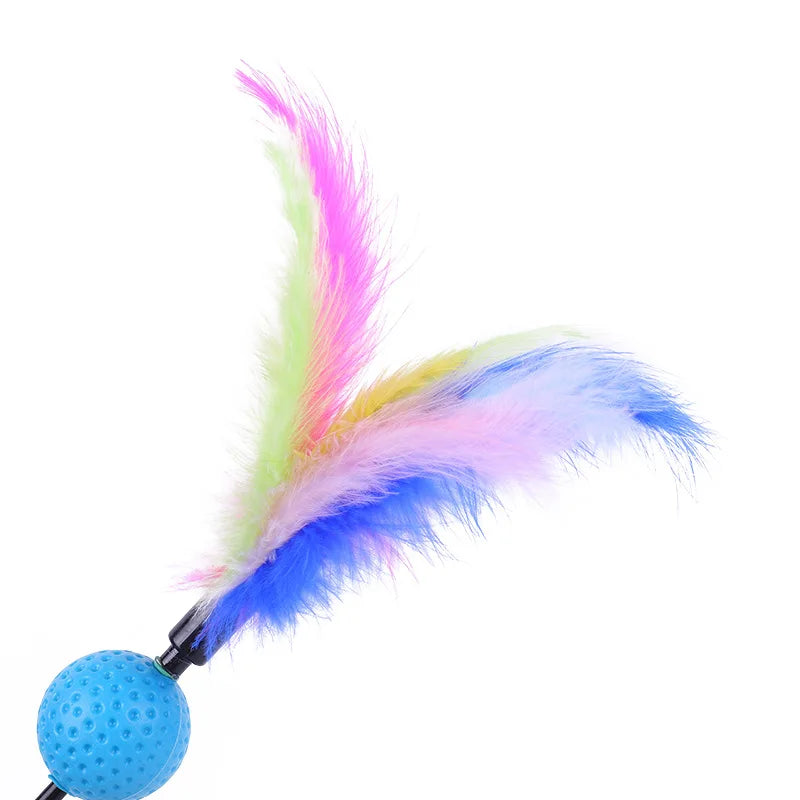 5 Cat Teaser Wand Set – Interactive Feather Toys with Bells-My Little Pet