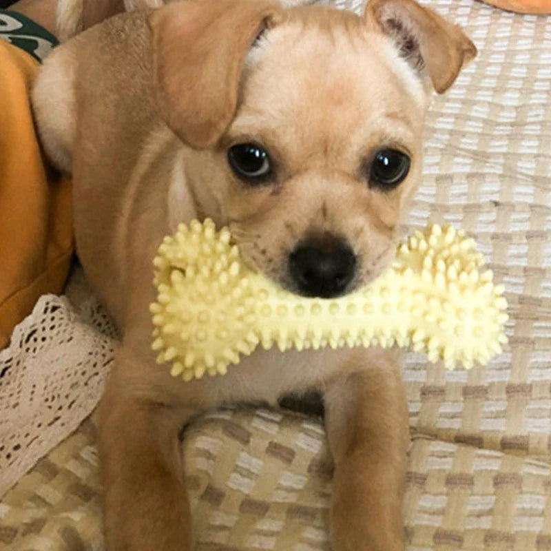 Durable Chew Toys for Small Dogs - TPR Knot, Bite Resistant for Teeth Cleaning and Training-My Little Pet