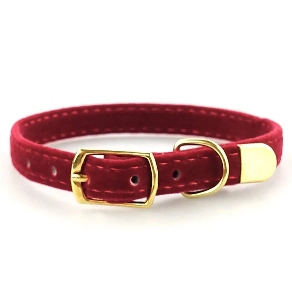 Elegant Velvet Cat Collar with Bell-My Little Pet