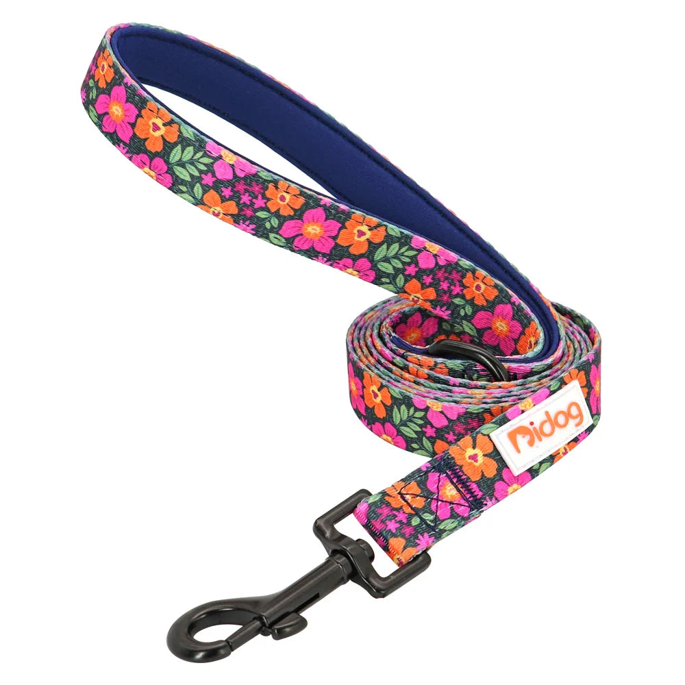 Didog High-Quality Nylon Dog Leash for All Sizes and Seasons-My Little Pet