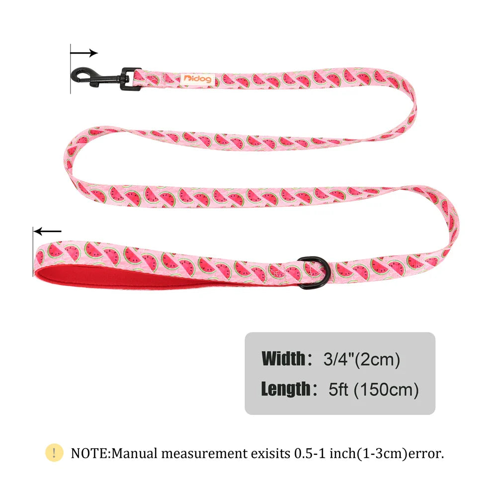 Didog High-Quality Nylon Dog Leash for All Sizes and Seasons-My Little Pet