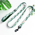 Didog High-Quality Nylon Dog Leash for All Sizes and Seasons-My Little Pet