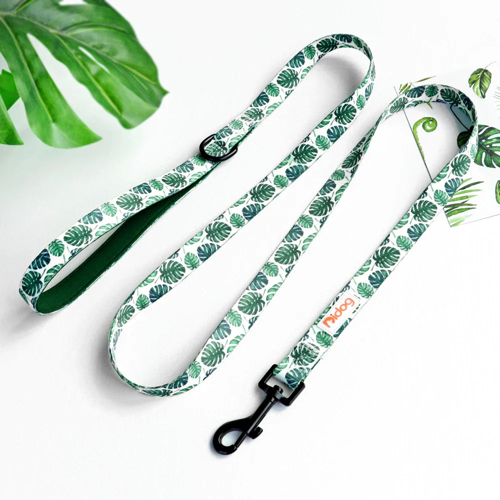 Didog High-Quality Nylon Dog Leash for All Sizes and Seasons-My Little Pet