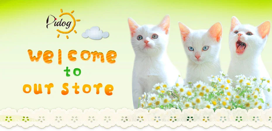 Didog High-Quality Nylon Dog Leash for All Sizes and Seasons-My Little Pet