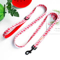 Didog High-Quality Nylon Dog Leash for All Sizes and Seasons-My Little Pet