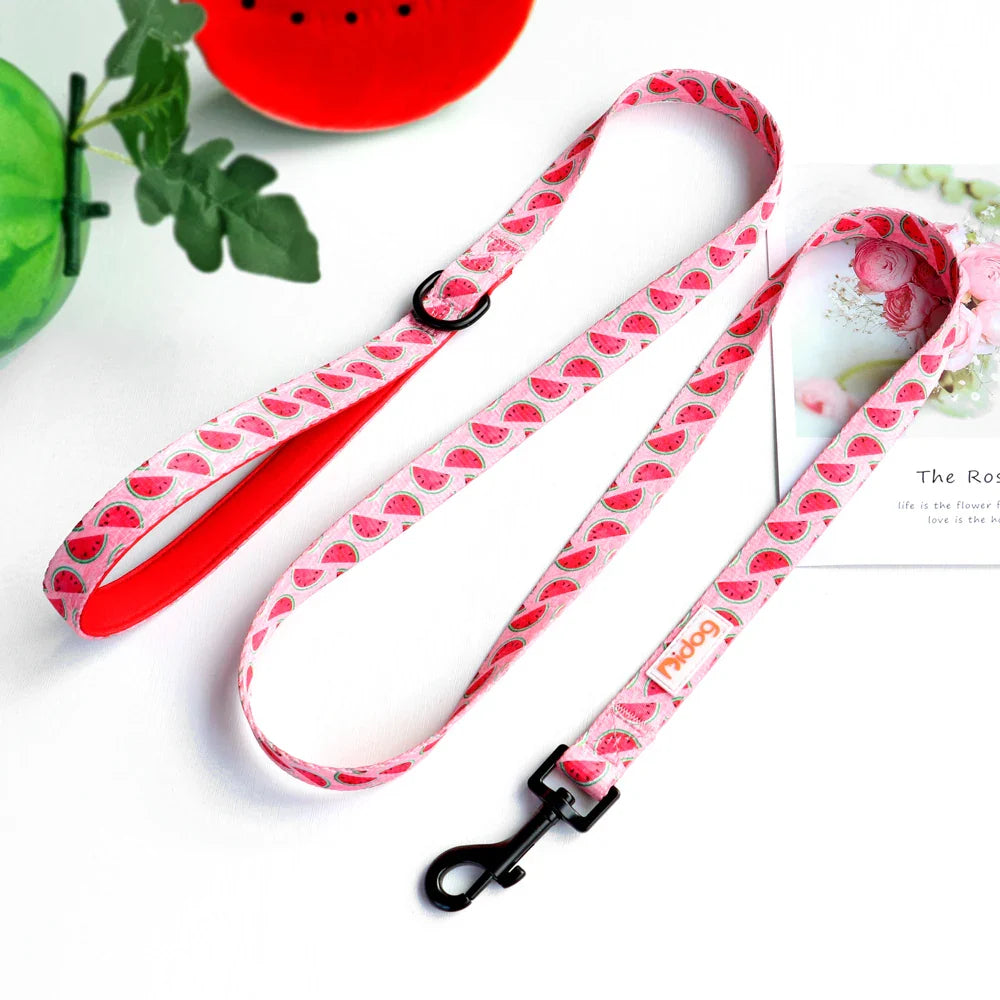 Didog High-Quality Nylon Dog Leash for All Sizes and Seasons-My Little Pet