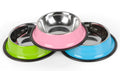 Multi-Colored, Stainless Steel Pet Bowls for Cats and Dogs-My Little Pet