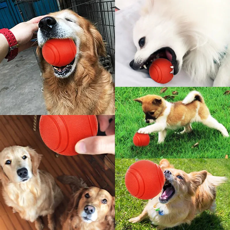 Durable Rubber Dog Ball - Bite-Resistant Toy for Puppies and Adult Dogs, Red, Available in Multiple Sizes-My Little Pet