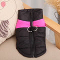 Winter Waterproof Pet Jacket for Dogs-My Little Pet
