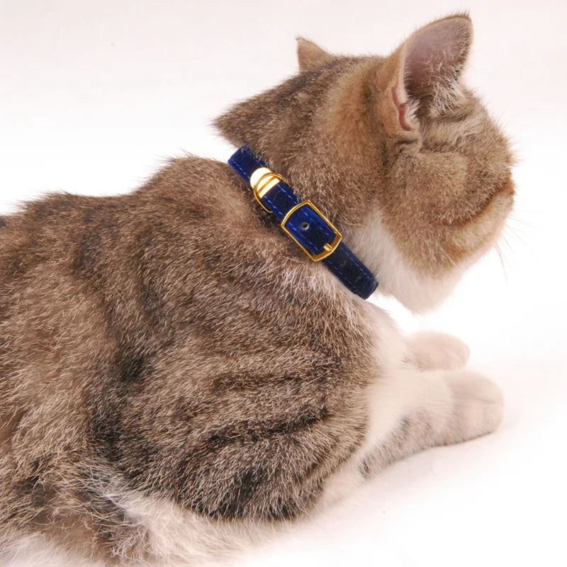 Elegant Velvet Cat Collar with Bell-My Little Pet