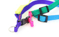 Colorful Rainbow Pet Harness and Leash Set-My Little Pet