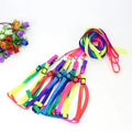 Colorful Rainbow Pet Harness and Leash Set-My Little Pet