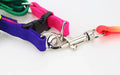 Colorful Rainbow Pet Harness and Leash Set-My Little Pet
