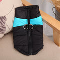 Winter Waterproof Pet Jacket for Dogs-My Little Pet