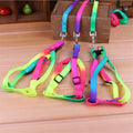 Colorful Rainbow Pet Harness and Leash Set-My Little Pet