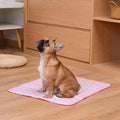 Cooling Pet Mat – Summer Cooling Pad for Dogs and Cats-My Little Pet
