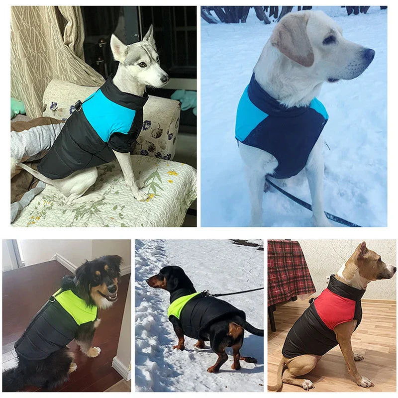 Winter Waterproof Pet Jacket for Dogs-My Little Pet