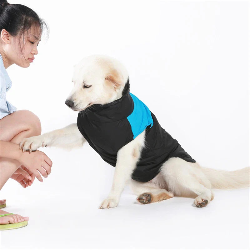 Winter Waterproof Pet Jacket for Dogs-My Little Pet