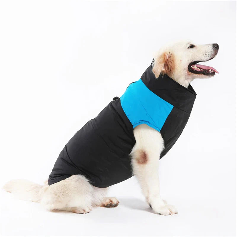 Winter Waterproof Pet Jacket for Dogs-My Little Pet