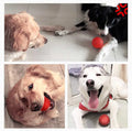 Durable Rubber Dog Ball - Bite-Resistant Toy for Puppies and Adult Dogs, Red, Available in Multiple Sizes-My Little Pet