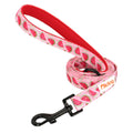 Didog High-Quality Nylon Dog Leash for All Sizes and Seasons-My Little Pet