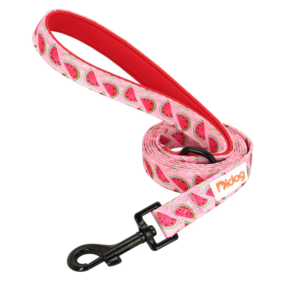 Didog High-Quality Nylon Dog Leash for All Sizes and Seasons-My Little Pet
