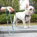 Didog High-Quality Nylon Dog Leash for All Sizes and Seasons-My Little Pet