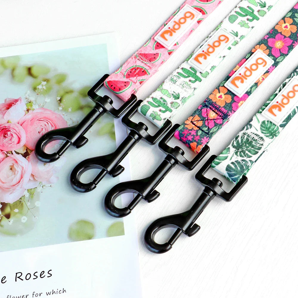 Didog High-Quality Nylon Dog Leash for All Sizes and Seasons-My Little Pet