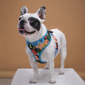 Adjustable Pet Harness for Small to Medium Dogs and Cats - Variety of Colors-My Little Pet