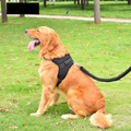 Adjustable Pet Dog & Cat Harness with Leash – Reflective & Breathable Harness Vest - My Little Pet