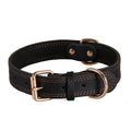 Benepaw Premium Leather Dog Collar for Medium and Large Dogs-My Little Pet