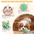 Durable Plush Squeaky Dog Toy with Chew Resistant Features-My Little Pet