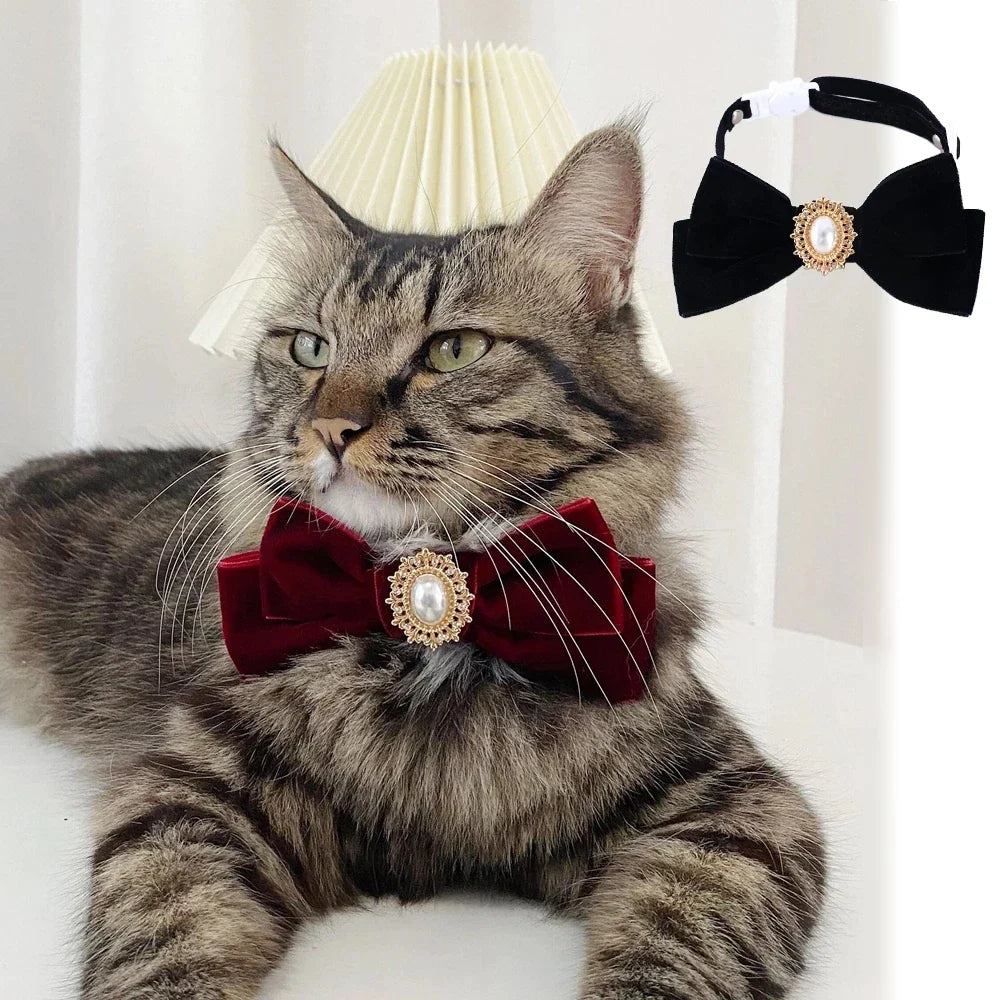 Elegant Velvet Cat Collar with Pearl and Bowknot-My Little Pet