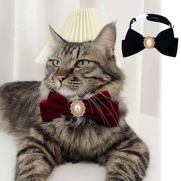 Elegant Velvet Cat Collar with Pearl and Bowknot-My Little Pet