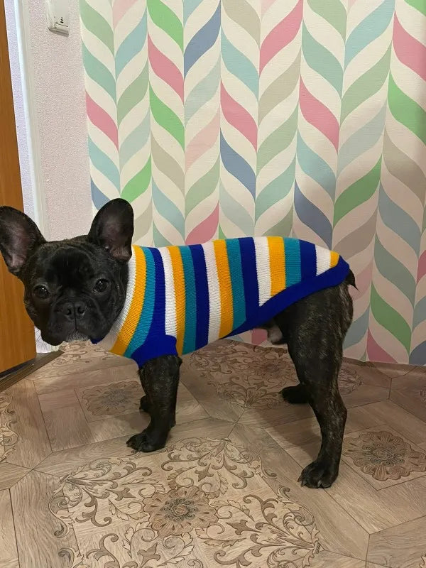 Cozy Knitted Sweater for Small to Medium Dogs and Cats-My Little Pet