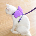 Angel Wings Pet Harness and Leash Set – Adorable Harness for Cats, Puppies, and Small Pets-My Little Pet