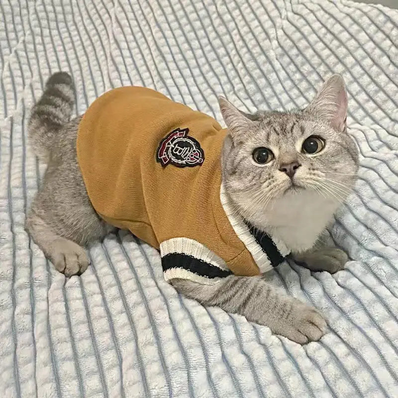 Cozy Autumn/Winter Pet Sweater for Cats and Small Dogs-My Little Pet