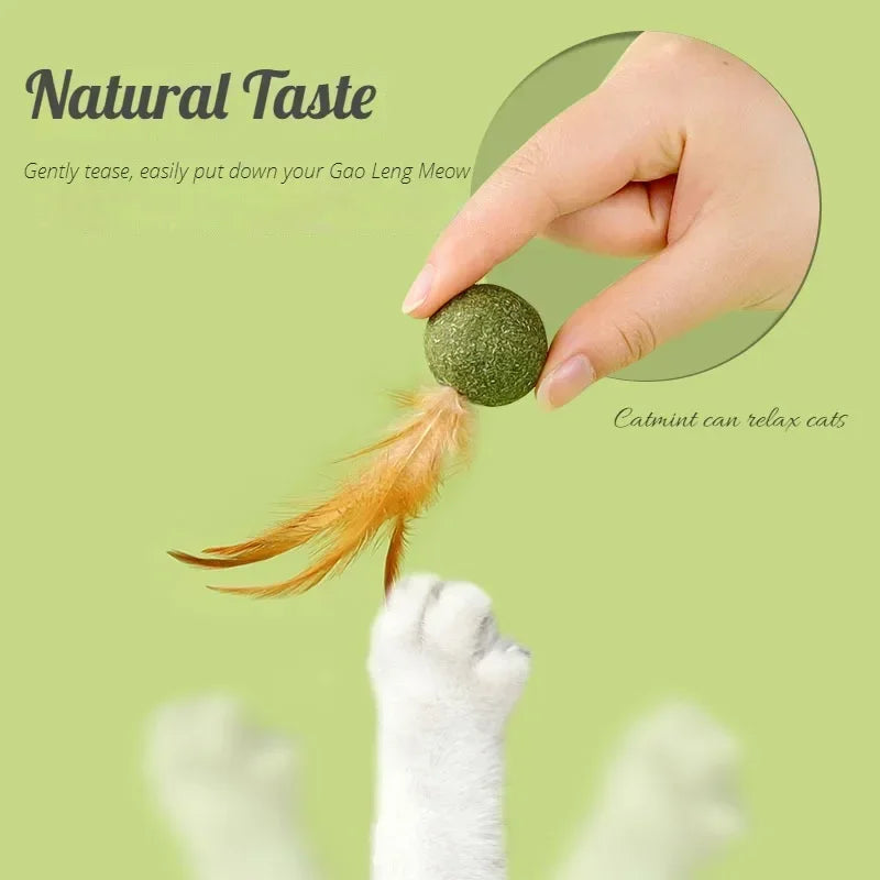 Feather Catnip Ball Toy for Cats - Enhances Digestion and Dental Health-My Little Pet