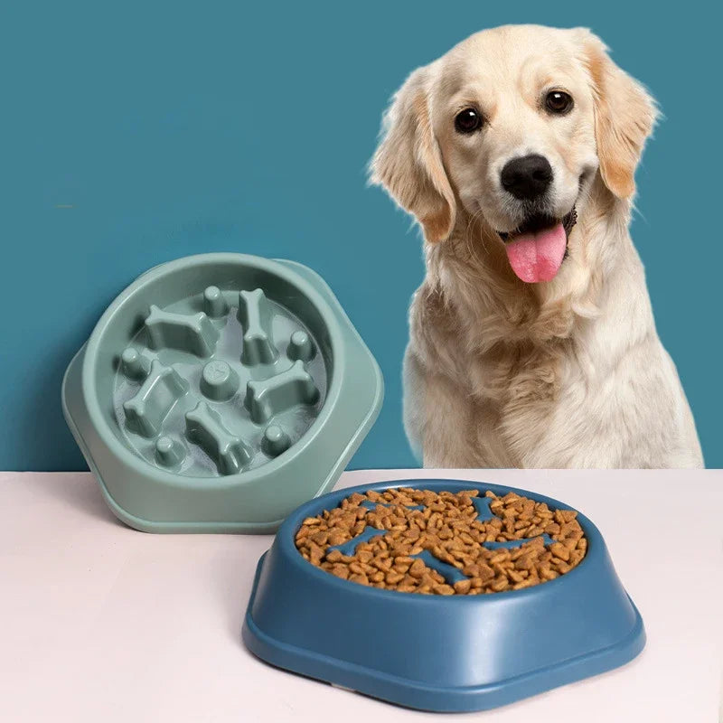 Pet Slow Food Bowl - Anti-Choking Feeder Dish for Dogs, PP Plastic Anti-Gulping Feeding Plate - My Little Pet
